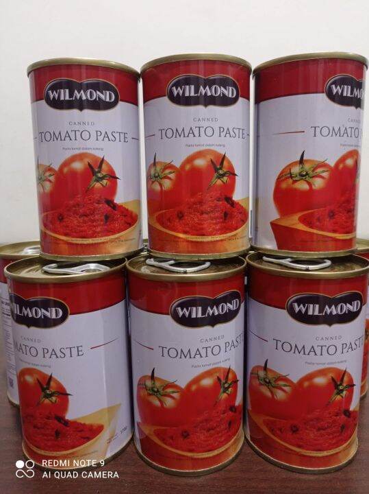 Tomato Paste Wilmond Pasta Tomat Kaleng 170 Gram Lazada Indonesia