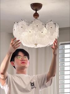 JIASHIDA | French Vintage Romantic Warmth Eye-protecting Light Fixture