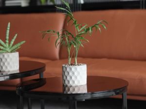 SALE Chậu cây cảnh xi măng Cori Origami Cement Pots - size lớn 15x11cm decor phòng làm việc nhà ở văn phòng quán ăn