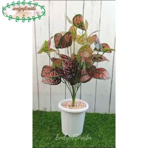 Pohon Artificial Tanaman Hias Aglonema Ruby X9 Pot Putih YogapYPT10 Dekorasi Apartement