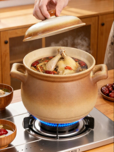 TAOXIANGYI | Heat Resistant Ceramic Clay Pot