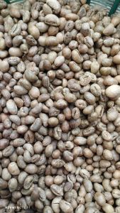 kopi lanang robusta biasa termurah panenan 2020