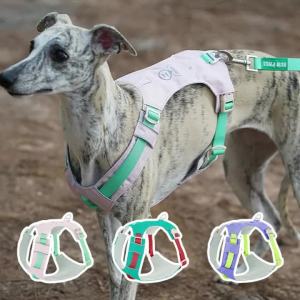 ZOOLAND Dog Cooling Harness H Type Design Reflective Strips Alloy D Ring For 35kg Dogs