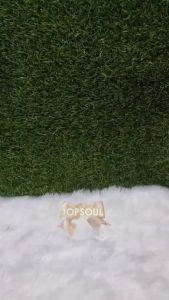 Tumbler Cup Gelas Bening 480ml Portable Transparan Mug Travel Coffee