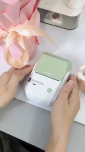 NIIMBOT B1 Bluetooth Inkless Thermal Label Printer Perfect for School Name Stickers and Note Organization