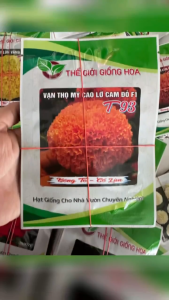 Hạt Giống Hoa Vạn Thọ Mỹ Cao Lỡ Cam Đỏ F1 T93 THẾ GIỚI GIỐNG HOA (Gói 50 hạt & 1gr) - Date 2028