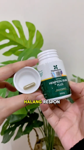 (OFFICIAL STORE) Hempedu Bumi Plus Pharmaherbs Nutridax - Ubat Kencing Manis Diabetes Kawal Bacaan Gula