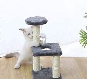 Đồ chơi trụ cào móng cho Mèo - Love Pets Shop