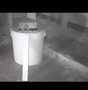 【Catch All Rats In 1  Night】Intelligent Mouse Catcher Rat Trap Bucket Continuously Catching Mice Auto Reset After Catching Mice Two-Way Capture/Auto-Reset Flip Cover Mouse Trap for Big Rats Multi Catch Rat Trap for Indoor Outdoor High Efficiency Rat Trap