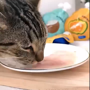 Premium Collagen-Infused Pet Broth Pouches for Cats & Dogs - Immune & Digestive Support - 100g Single Packs