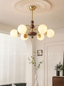 TIANCHUANGJIYUAN | Vintage French & American Style Light