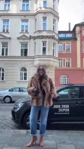 Women Hooded Faux Fur Coat Artificial Short Fur Coat Winter Exclusive Striped Faux Fur Jacket Women Overcoat Fashion Fluffy Fur
