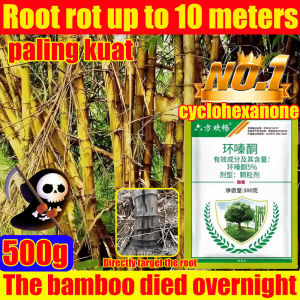 racun herba The bamboo died overnight Racun rumput paling kuat cepat mati hitting the roots of plants Racun rumput sambau fast action long lasting death from the root Racun pokok kayu besar Weed killer Grass killer Racun rumpai paling kuat herbicide 除草剂