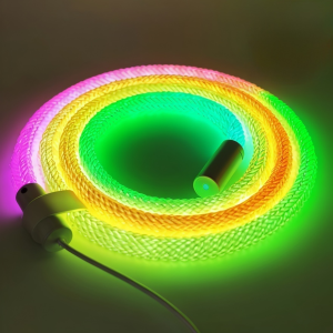 Dây Đèn LED Neon RGBIC 360 Độ Hình Lưới Thông Minh Bluetooth USB 5V Silicon Chống Nước Trang Trí Phòng