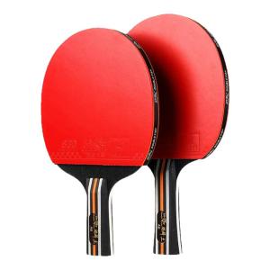 Double Fish | High Elasticity High Adhesive Professional Grade Table Tennis Paddle Set
