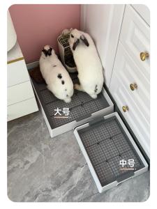 Rabbit Toilet Large Split Kangbi Cleaning Dedicated Potty Urinal Bucket Totoro Guinea Pig Toilet Accessories