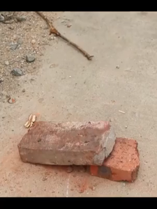 หัวจอบ จอบสวนผัก จอบผสมปูน จอบขุดดิน จอบ จอบถากหญ้า จอบพร้อมด้าม จอบถางหญ้า จอบกำจัดวัชพืช จอบสวนผัก เครื่องมือกำจัดวัชพืชทางการเกษตร ทำจากเหล็กแมงกานีส คม ทนทาน แถมไม้ติดมาด้วย เหล็กแมงกานีสหนา ทานการกัดกร่อน ไม่เสียรูปทรง ความแข็งสูง ความเหนียวดี