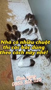 Bình xịt đuổi chuột hương thơm RAT OFF Thái lan-Chai to