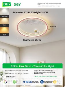 DGY | Modern Simple Ceiling Light for Childrens Room