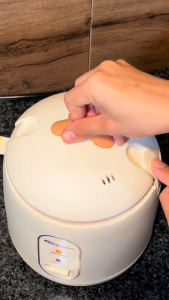 🇸🇬 [In Stock] Mini Rice Cooker 1.2L Non-Stick Inner Pot multifunction electric cooker