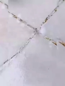 【stain removal 100% 】Heavy duty Tiles Cleaner 500ML100 years stain free tiles stain remover Tiles are 10 times brighter than mirrors toilet tiles cleaner瓷砖清洁剂 bathroom floor cleaner Tile Cleaner Toilet Bathroom Cleaner Toilet bowl cleaner Floor cleaner