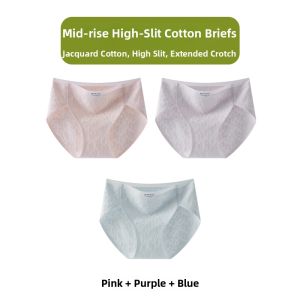 Baisina | Antibacterial Extended Crotch Seamless Womens Briefs