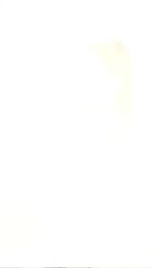 Hommkesa SET สุดคุ้ม แชมพูบำรุง+เซรั่มลดผมร่วงเพิ่มผมหนา