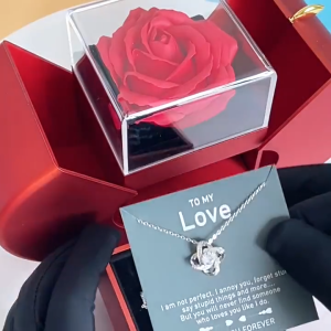 Heart Necklace for Women Jewelry with Rose Apple Gift Box for your wife daughtermom grandma or Girlfriend