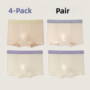 miiow | Colorful Cotton Antibacterial Underwear For Kids Developmental Stage Four Corner Briefs Soft Elastic Comfortable All Season Use