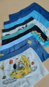 Kids 2PCS Random Underwear Set Cute Dino Astro Cartoon Design Boxer Brief Underpants for 5-10Y Boys