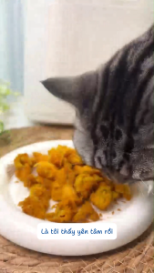 [Phụ kiện Fassner] Ruột máy lòng nồi làm thịt viên thịt sấy cho chó mèo Fassner