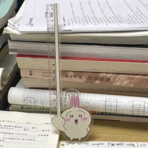 High-Appeal Acrylic Ruler Student Stationery Protractor Measurement Tool Cartoon Funny Ruler Home Fabric Sewing DIY Materials