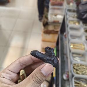 koleksi Raja Monyet Jantan Jaman Kuno