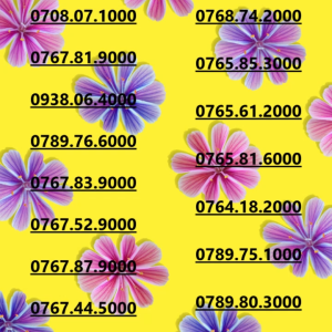 Sim Mobifone tam hoa 000 cuộc sống đầy đủ và viên mãn data180GB [SIM CHƯA KÍCH HOẠT PHẢI ĐĂNG KÝ CHÍNH CHỦ)