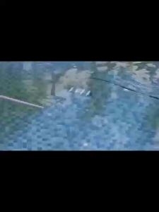 [COOLBAR]สายดูดตะกอนสระว่ายน้ำ ท่อดูดน้ำ สายดูดน้ำ PE ขนาด 1.5 นิ้ว ยาว 9 เมตรใช้ทำความสะอาดทราย หิน เศษใบไม้ และเศษตะกอนที่ก้นสระได้อย่าง