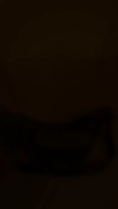 Tas Bahu Wanita Tas Selempang Slingbag C-066 Fashion Wanita Korean Style