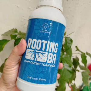 Rooting BA 500ml – Dung dịch dưỡng rễ hỗ trợ cây con phát triển khỏe tăng sức đề kháng