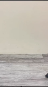 COD Weifeng Tripod Kamera Hp Telescopic 4 Section Pan Head 1M WT 3110A (Original)