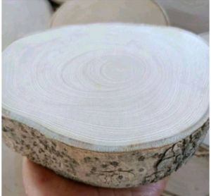 เขียงไม้ข่อยแท้ขนาด6-7นิ้ว สินค้าราคาพิเศษ Early Bird 1 เขียง 69 บาท.