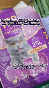 TOP cat litter 20kg Pasir kucing gumpal