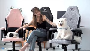 🦅(͢I͢N͢ ͢S͢T͢O͢C͢K͢S͢)͢ Black Hawk Morpheus Gaming Chair / Gaming Chair / Computer Chair (E-Sports Chair)