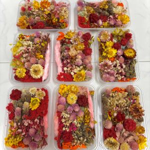 Hộp Hoa Lá Khô Nhiều Màu Sắc Dùng Đóng Dấu Sáp Sealing Wax Craft  Epoxy Resin Thiệp Thư Trang Sức Sổ Journal Scrapbook