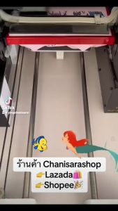 เสื้อยืดพิมพ์ลายแอเรียล