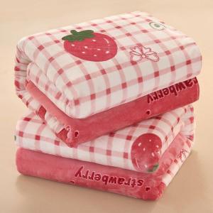 Warm Flannel Blanket Bed Sheet 2-in-1