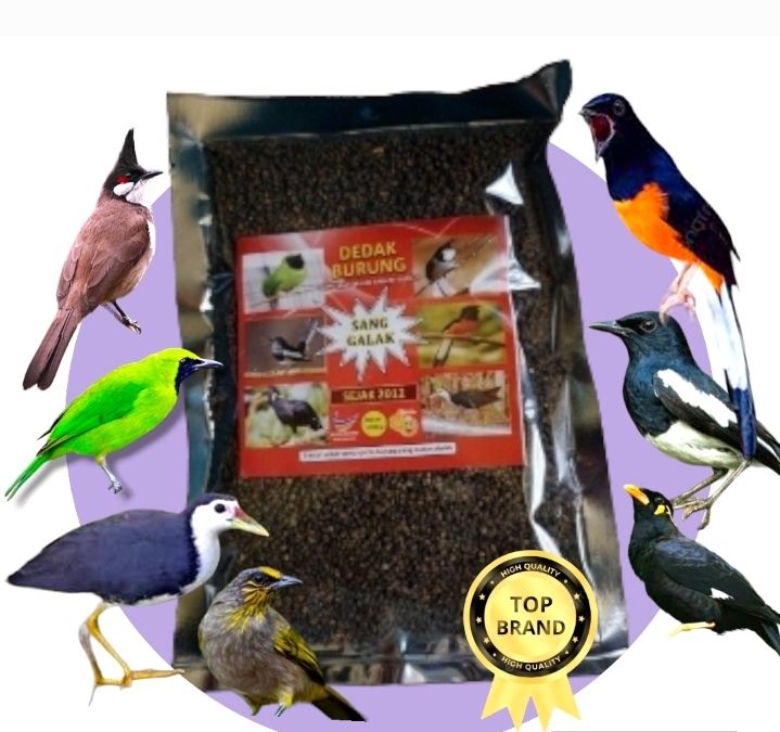 DEDAK PENGGALAK BURUNG SANG GALAK