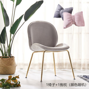 Nordic Iron Beetle Dining Chair Leisure Restaurant Dining Chair Light Luxury Dining Chair Metal Post-Modern Home Backrest Chair