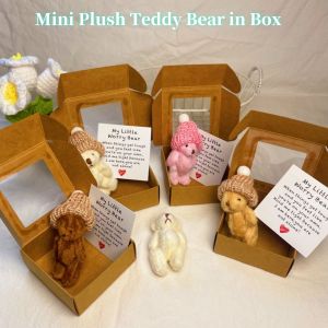 Handmade Mini Bear Little Bear In A Box My Little Worry Bears Mini Pocket Bears Hug with Emotional Card for Lovers Sympathy Gift