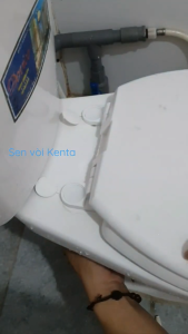 Nắp Bồn Cầu Nhựa Trắng Plastic Chấn Hùng Thông Dụng Với Các Loại Bồn Cầu 2 Khối Két Rời Kèm Đủ Bộ Ốc