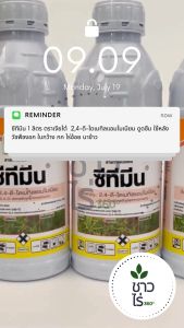 [ยกลังสุดคุ้ม] ซีทีมีน 1 ลิตร x 12 ขวด ตราเจียไต๋ 24-ดี-ไดเมทิลแอมโมเนียม dimethylammonium 24ดี ดูดซึม ใช้หลังวัชพืชงอก ใบกว้าง กก ไร่อ้อย นาข้าว กกทราย เบี้ยหิน ผักโขม