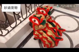 Áo quần con Lân cho Chó Mèo Quần Áo Chó Mèo Quần áo cho thú cưng